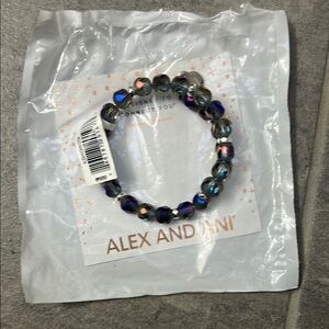 Alex and Ani Multicolor Beaded Bracelet